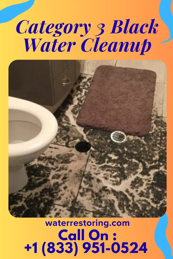 Category 3 Black Water Cleanup in Glen Rock, NJ