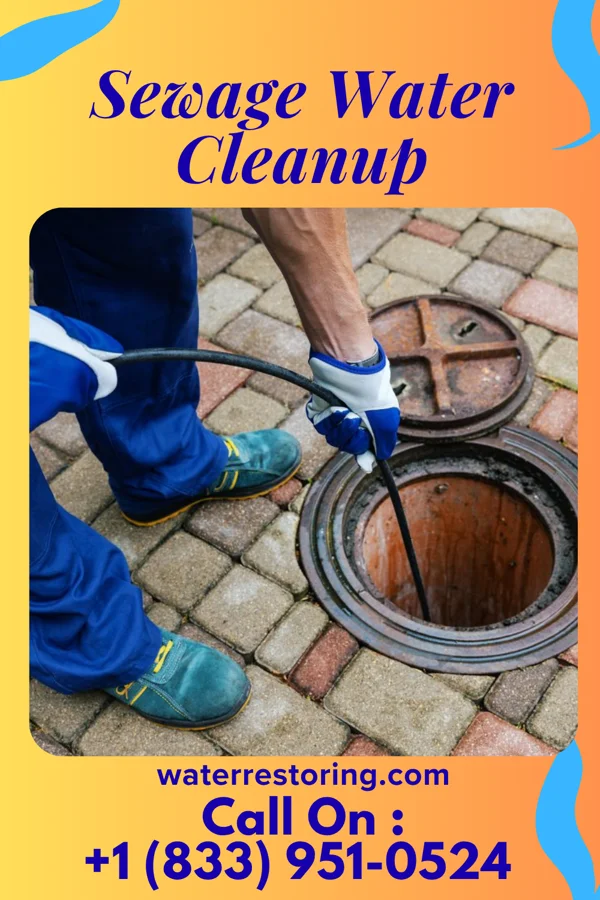 Sewage Water Cleanup in Glen Rock, NJ