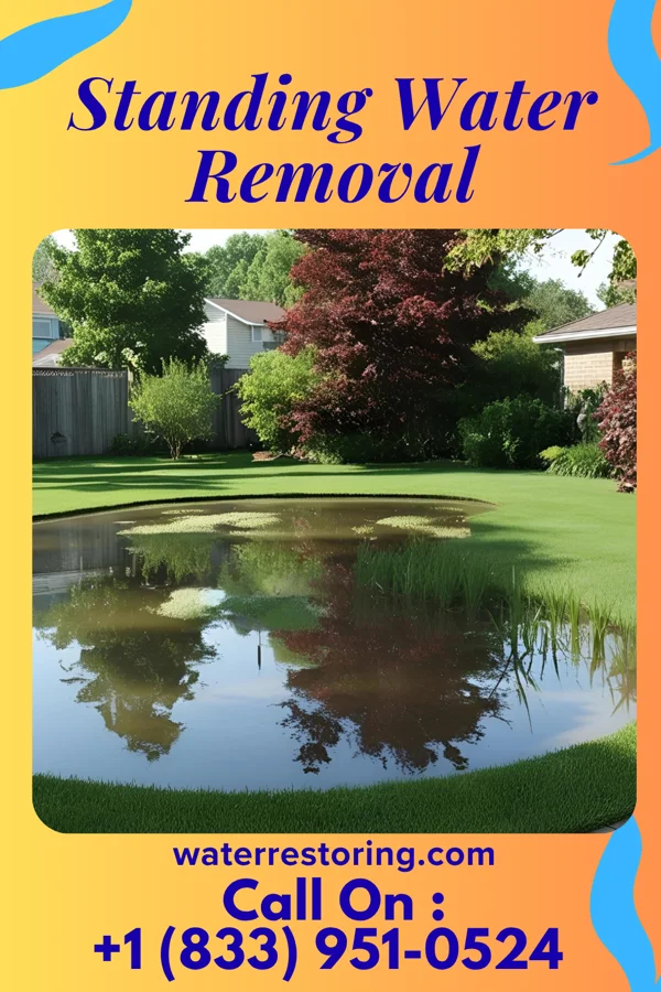 Standing Water Removal in Glen Rock, NJ